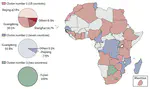 Preparedness and vulnerability of African countries against importations of COVID-19: a modelling study