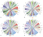 The role of migration networks in the development of Botswana's generalized HIV epidemic