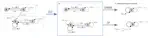 Epidemic graph diagrams as analytics for epidemic control in the data-rich era