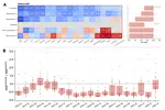 Collaborative forecasting of influenza-like illness in Italy: the Influcast experience