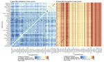 Global dynamics of antibiotic resistance: a modeling study of the spread of endemic and emerging resistance in E. coli