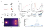 Fragmented criticality of infectious disease epidemics