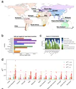 Redefining and estimating the early-phase reproduction ratio for epidemic outbreaks in spatially structured populations