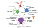Estimating the introduction risk and sustained transmission of the Ebola Bundibugyo outbreak 2026 in the Democratic Republic of Congo