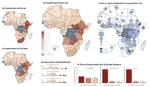 Importation risk and preparedness priorities across Africa in the 2026 Bundibugyo Ebola outbreak