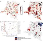 Estimating the introduction risk and sustained transmission of the Ebola Bundibugyo outbreak 2026 in the Democratic Republic of Congo